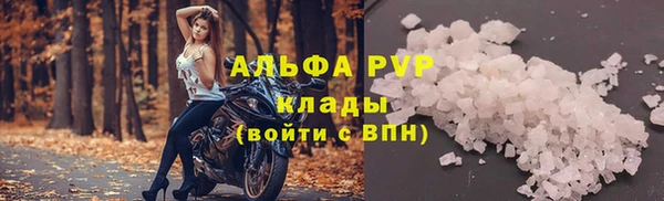 шишки Балахна