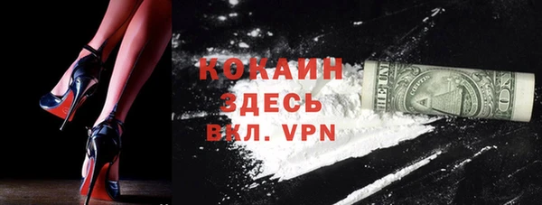 шишки Балахна