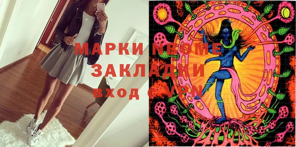 шишки Балахна