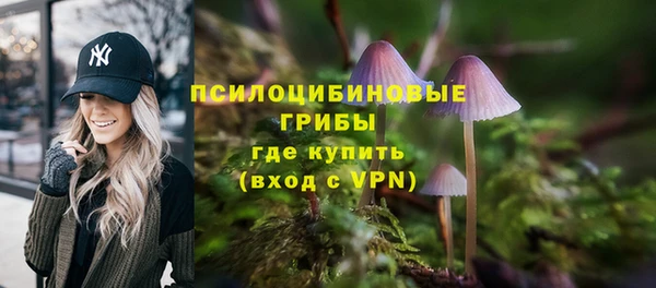 шишки Балахна