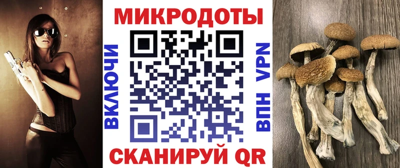 Псилоцибиновые грибы ЛСД  цены наркотик  Чехов 