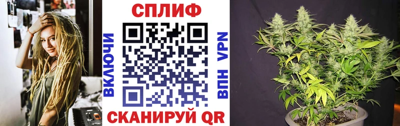 Каннабис White Widow  shop наркотические препараты  Чехов 